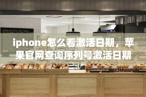 iphone怎么看激活日期，苹果官网查询序列号激活日期