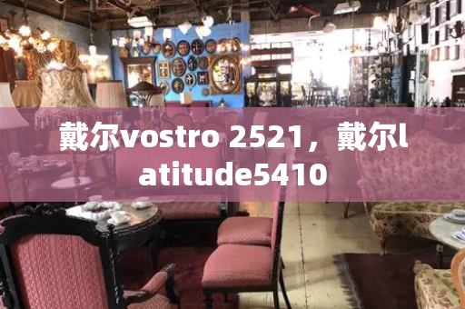 戴尔vostro 2521，戴尔latitude5410