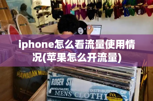 iphone怎么看流量使用情况(苹果怎么开流量)