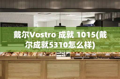 戴尔Vostro 成就 1015(戴尔成就5310怎么样)-第1张图片-星选测评