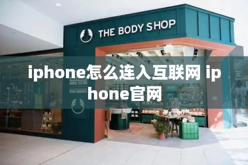 iphone怎么连入互联网 iphone官网