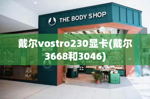 戴尔vostro230显卡(戴尔3668和3046)