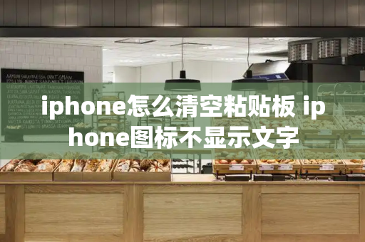 iphone怎么清空粘贴板 iphone图标不显示文字