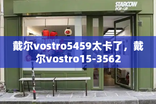 戴尔vostro5459太卡了，戴尔vostro15-3562