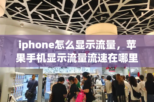 iphone怎么显示流量，苹果手机显示流量流速在哪里设置