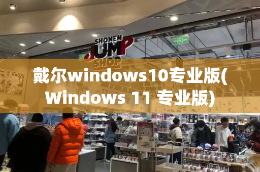 戴尔windows10专业版(Windows 11 专业版)