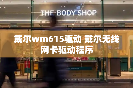 戴尔wm615驱动 戴尔无线网卡驱动程序-第1张图片-星选测评