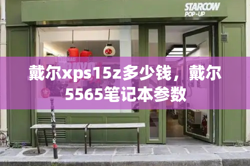 戴尔xps15z多少钱，戴尔5565笔记本参数-第1张图片-星选测评