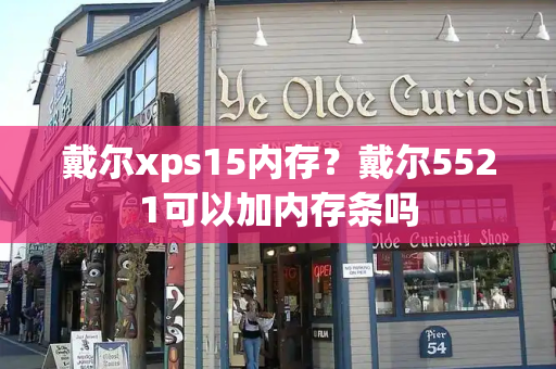 戴尔xps15内存？戴尔5521可以加内存条吗-第1张图片-星选测评