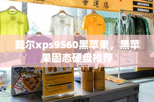 戴尔xps9560黑苹果，黑苹果固态硬盘推荐