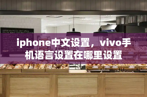 iphone中文设置，vivo手机语言设置在哪里设置