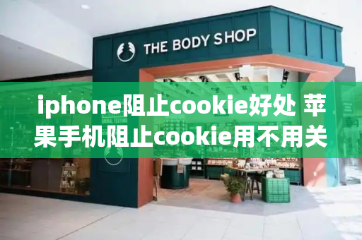 iphone阻止cookie好处 苹果手机阻止cookie用不用关