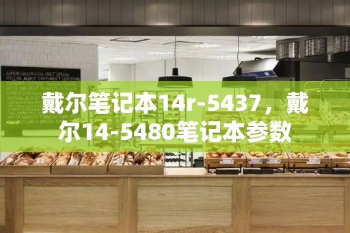 戴尔笔记本14r-5437，戴尔14-5480笔记本参数-第1张图片-星选测评