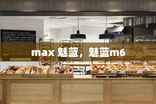 max 魅蓝，魅蓝m6