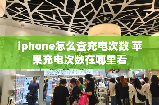 iphone怎么查充电次数 苹果充电次数在哪里看-第1张图片-星选测评