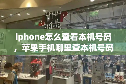 iphone怎么查看本机号码，苹果手机哪里查本机号码