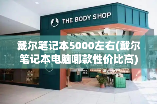 戴尔笔记本5000左右(戴尔笔记本电脑哪款性价比高)