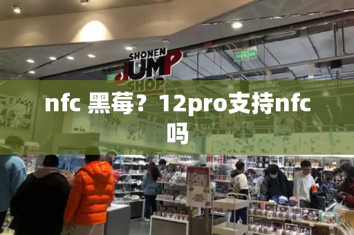 nfc 黑莓？12pro支持nfc吗