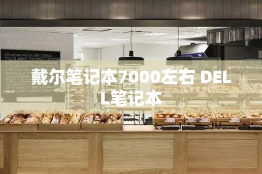 戴尔笔记本7000左右 DELL笔记本