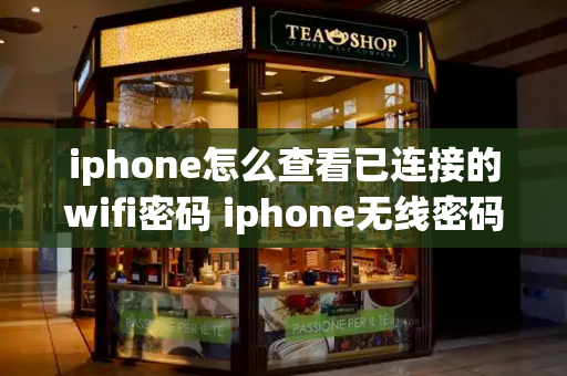 iphone怎么查看已连接的wifi密码 iphone无线密码查看-第1张图片-星选测评