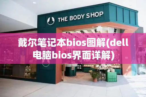 戴尔笔记本bios图解(dell电脑bios界面详解)