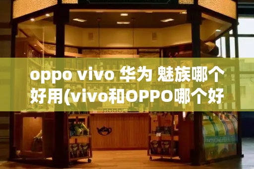 oppo vivo 华为 魅族哪个好用(vivo和OPPO哪个好用)