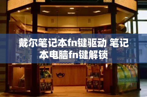 戴尔笔记本fn键驱动 笔记本电脑fn键解锁