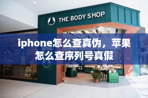 iphone怎么查真伪，苹果怎么查序列号真假-第1张图片-星选测评