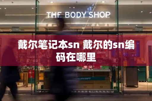 戴尔笔记本sn 戴尔的sn编码在哪里