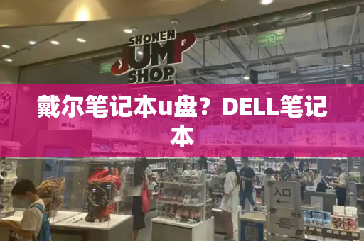 戴尔笔记本u盘？DELL笔记本-第1张图片-星选测评