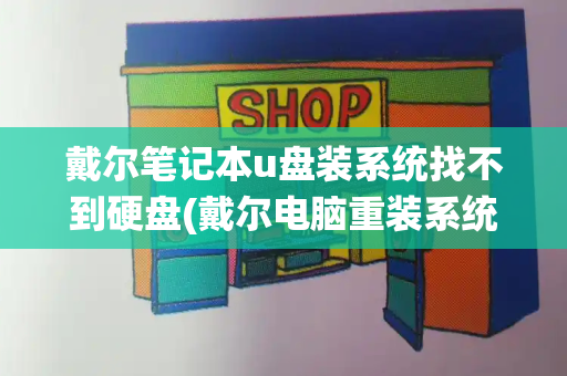 戴尔笔记本u盘装系统找不到硬盘(戴尔电脑重装系统步骤)-第1张图片-星选测评