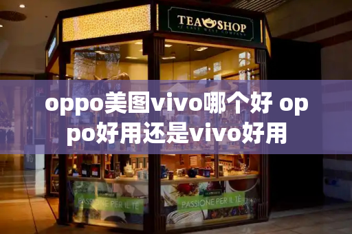 oppo美图vivo哪个好 oppo好用还是vivo好用-第1张图片-星选值得买