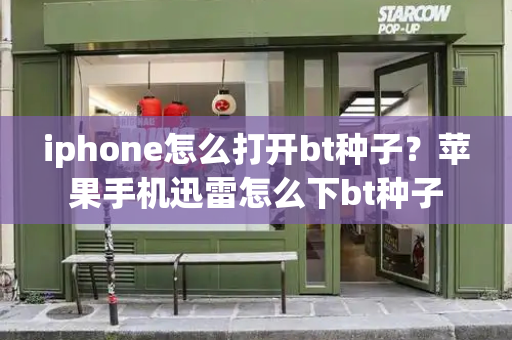 iphone怎么打开bt种子？苹果手机迅雷怎么下bt种子