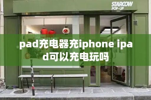 pad充电器充iphone ipad可以充电玩吗