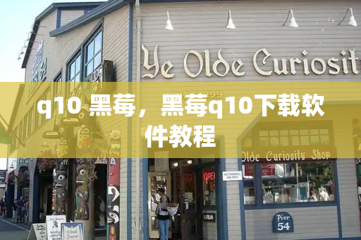 q10 黑莓，黑莓q10下载软件教程