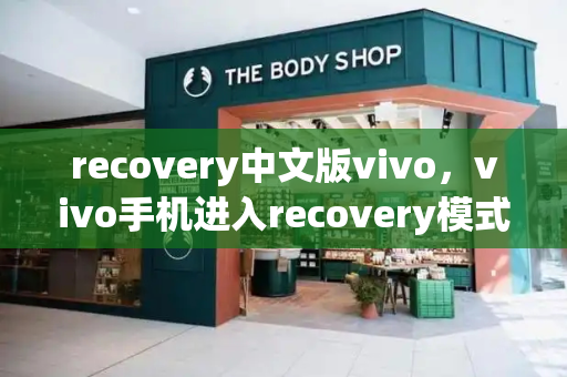 recovery中文版vivo，vivo手机进入recovery模式