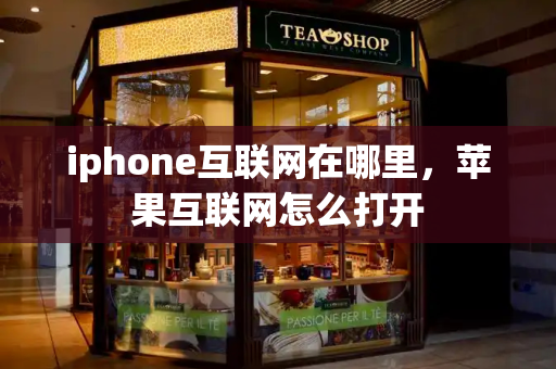 iphone互联网在哪里，苹果互联网怎么打开