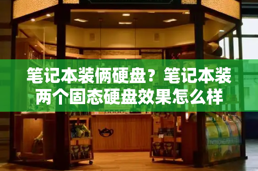 笔记本装俩硬盘？笔记本装两个固态硬盘效果怎么样-第1张图片-星选测评