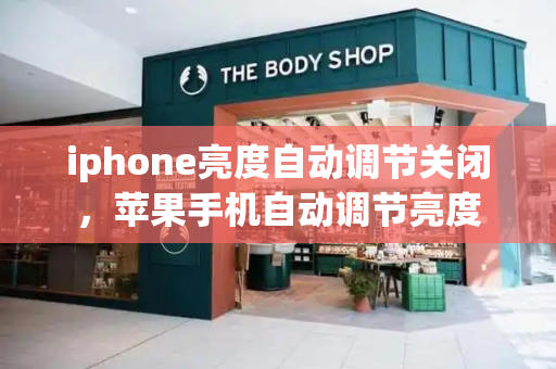 iphone亮度自动调节关闭，苹果手机自动调节亮度