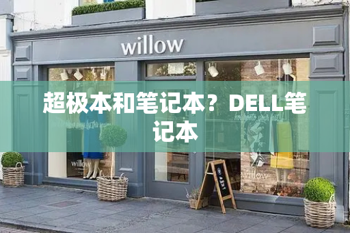 超极本和笔记本？DELL笔记本-第1张图片-星选测评