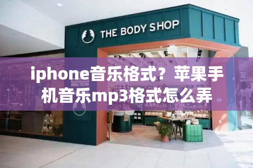 iphone音乐格式？苹果手机音乐mp3格式怎么弄-第1张图片-星选测评