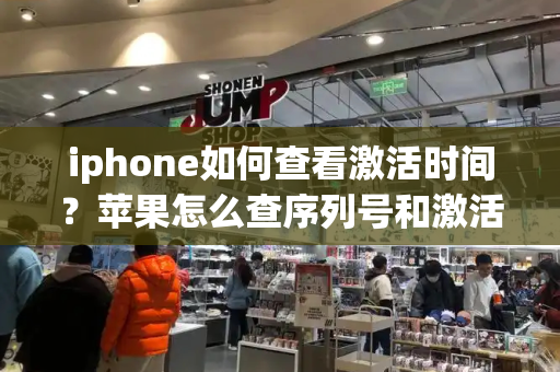 iphone如何查看激活时间？苹果怎么查序列号和激活时间-第1张图片-星选值得买