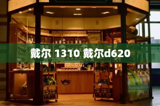 戴尔 1310 戴尔d620