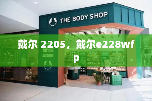 戴尔 2205，戴尔e228wfp