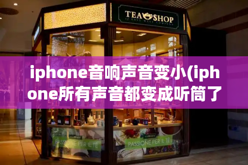 iphone音响声音变小(iphone所有声音都变成听筒了)-第1张图片-星选测评