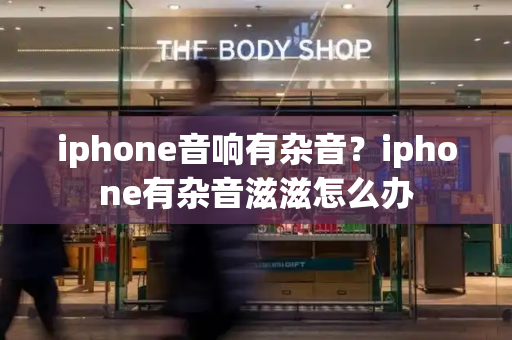 iphone音响有杂音？iphone有杂音滋滋怎么办-第1张图片-星选测评