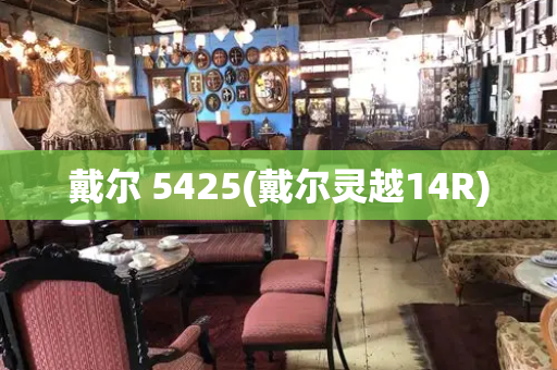 戴尔 5425(戴尔灵越14R)