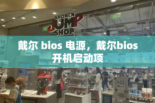 戴尔 bios 电源，戴尔bios开机启动项