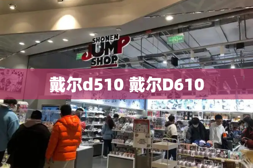 戴尔d510 戴尔D610