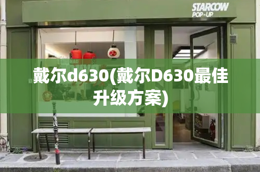 戴尔d630(戴尔D630最佳升级方案)-第1张图片-星选测评